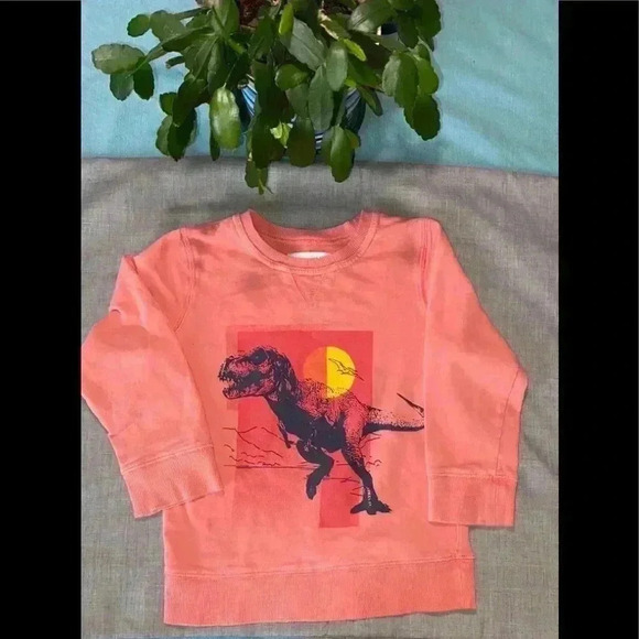 Sonoma Other - Unisex Sweet T-Rex lightweight kids sweatshirt.